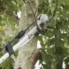 Телескопичен трион и ножица 2 в 1 - Milwaukee, 4900mm, 4932498626