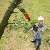 Cordless lopper Bosch AdvancedPrune 18V-45 06008C5000