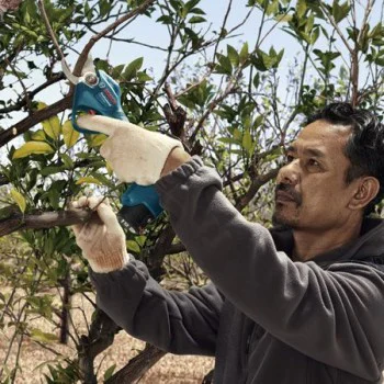 Акумулаторна ножица за клони Bosch Pro Pruner 06019K1020