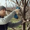 Cordless lopper Bosch Pro Pruner 06019K1020
