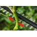Telescopic Cordless Brushcutter Bosch UniversalHedgePole 18 06008B3001