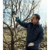 Cordless secateurs Bosch Pro Pruner 06019K1021