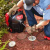 Milwaukee M18FFSDC10-0 Cordless Duct Cleaner / 4933459707