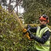 Cordless brushcutter DeWALT DCMHT563N / 18V / 55cm