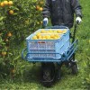 Cordless trolley Makita DCU180Z 18V+18V + Basket 199008-0