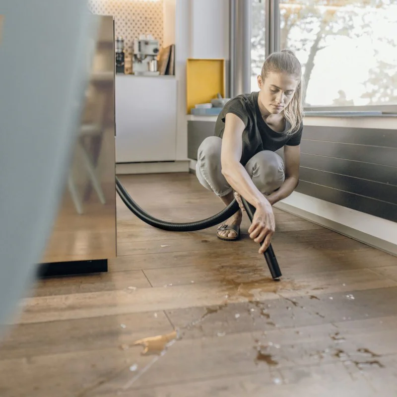 Karcher WD 2 Plus V-12/6/18/C Home, 1000 W, 12 L, dry and wet electric vacuum cleaner