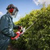 Cordless brushcutter Sealey CHT20V, 20 V, 520 mm
