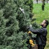 DeWalt brushcutter attachment DCMASPH6N, 55cm, for DCMAS5713N