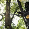 DeWalt DCMASPS5N lopper attachment, 2,7 m, 15 cm
