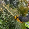 Cordless brushcutter DeWALT DCM563P1, 18V, 55 cm