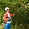 Cordless Telescopic Chainsaw Bosch UniversalChainPole 18 06008B3101