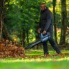 Cordless blower Bosch GBL 18V-800 06008D2200