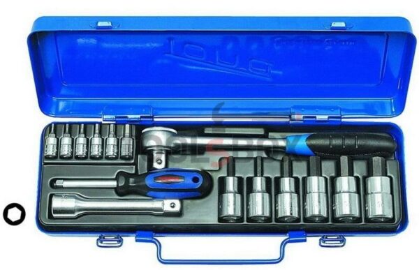 Гедоре комплект  с тресчотка Tona Expert Z542SN16-01 15 части